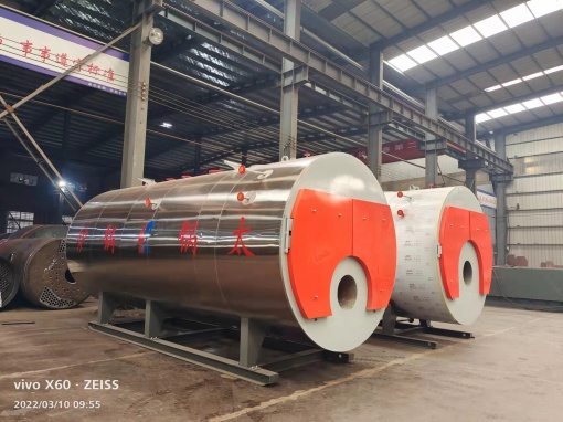 燃?xì)庹羝仩t